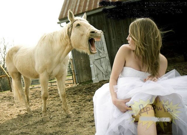 Конь с открытой пастью возле невесты